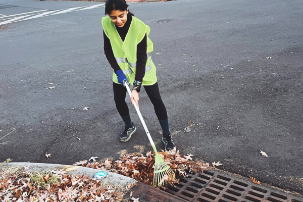 A volunteer raking leaves away from a storm drain.